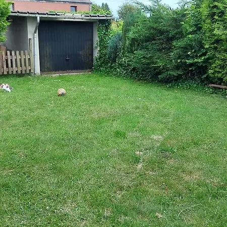 Nazareth Un Magnifique De * 바스토뉴