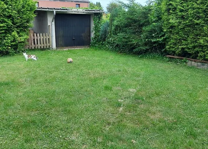 Nazareth Un Magnifique De * Bastogne