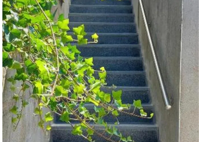 Nazareth Un Magnifique De Bastogne